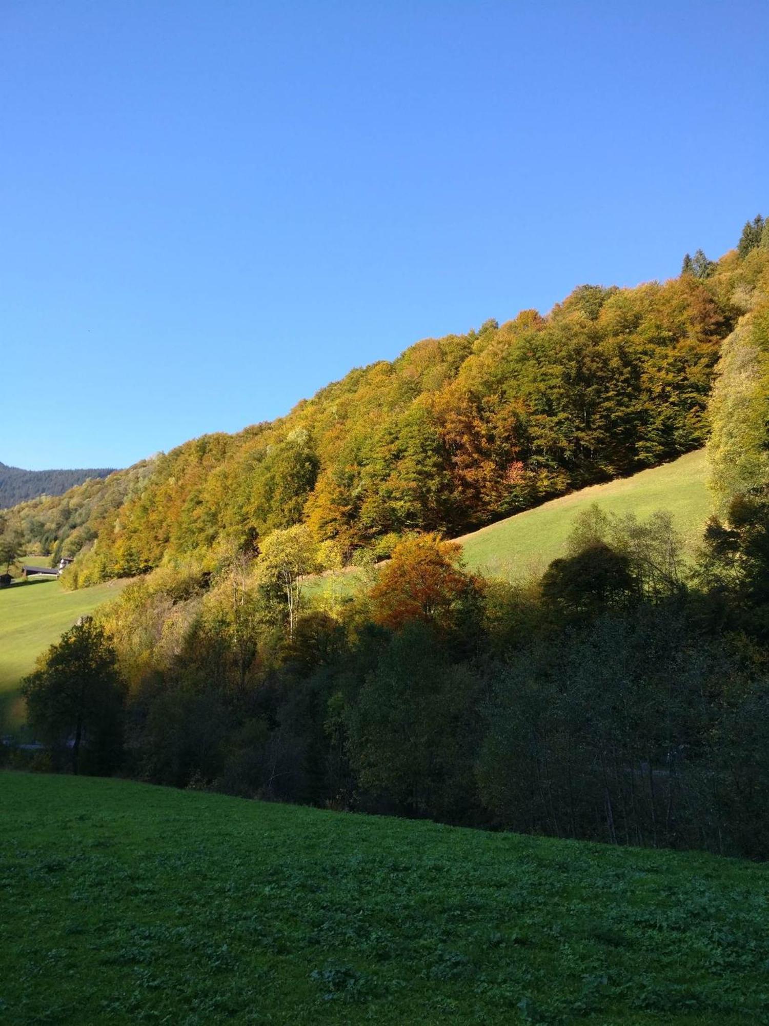 Fruehstueckspension Gweil Sankt Gallenkirch Exterior photo